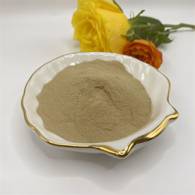 Amino Acid 50 The Essential Supplement for Optimal Health and Wellness