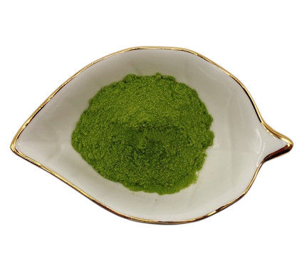 OMRI Listed Ascophyllum Nodosum Seaweed Extract Green Powder